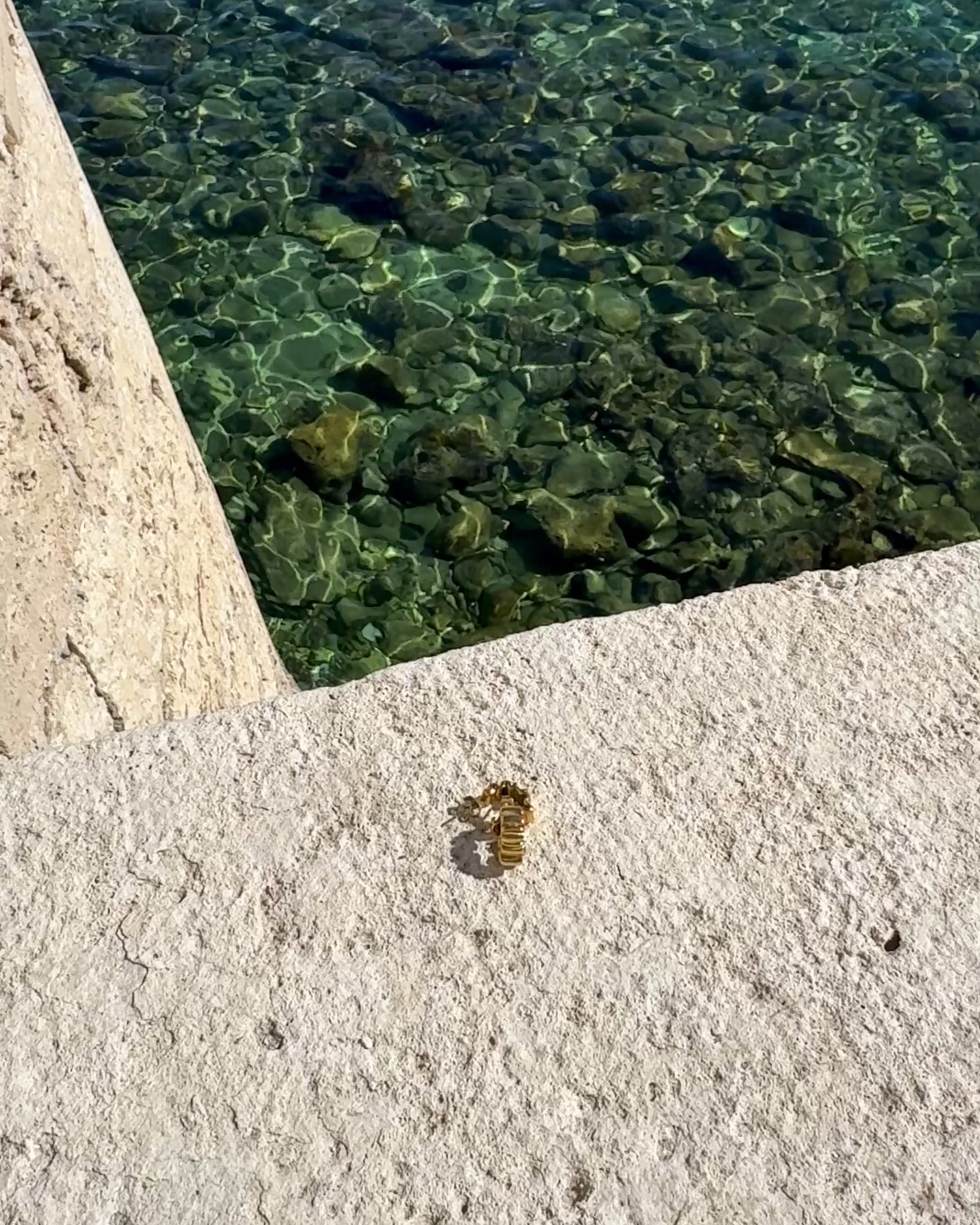Video mit goldenen wellenförmigen Ohrringen auf einer Steinmauer, daneben das Meer